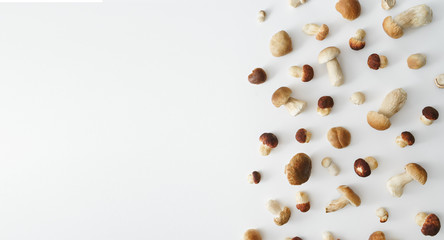 white mushrooms on white table, top view