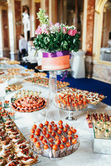 Plates with delicious served snacks stand on white table