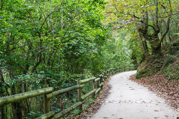 Ruta del Alba. Parque Natural de Redes, Asturias, España.
