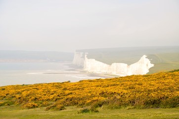A view to Seven Sisters Cliff in the United Kingdom captured from the yellow meadow.