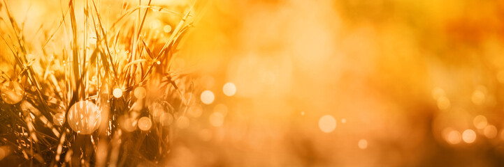 Radiant autumn background with bokeh