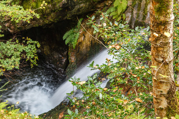 Cascada  y vegetación en el Río Alba. Ruta del Alba. Parque Natural de Redes, Asturias, España.
