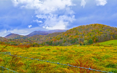 Fall Pasture Landscape