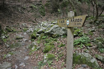 東海自然歩道 西丹沢の山道