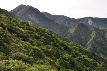Fototapeta premium 犬越路からの大笄と檜洞丸の山並み