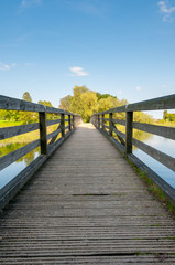 Obraz premium boradwalk with rails over lake with trees in the background