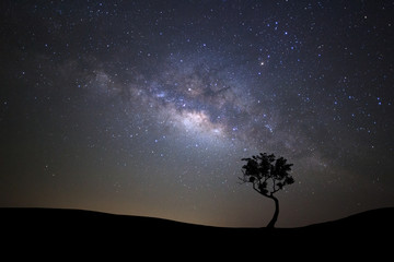 Fototapeta na wymiar Landscape silhouette of tree with milky way galaxy and space dust in the universe, Night starry sky with stars