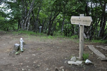 丹沢山地 大室山の山頂