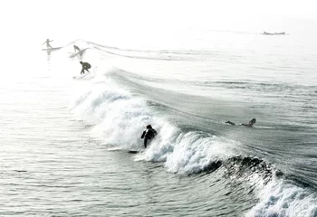 Foto op Aluminium Surfers in California © Charlotte