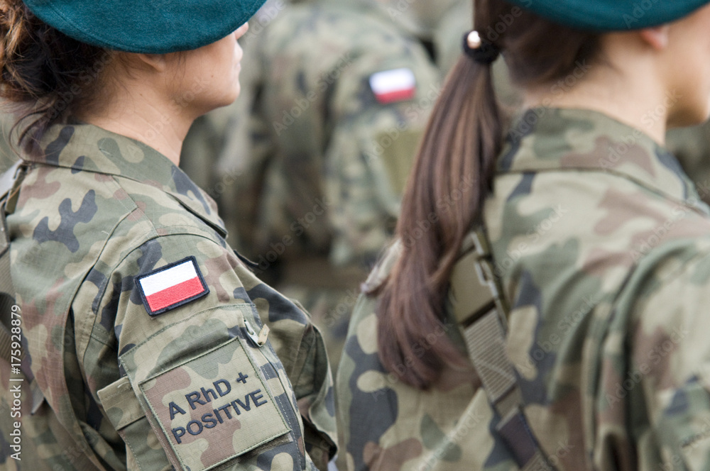 Wall mural polish soldiers