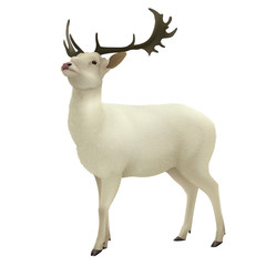 A proud graceful blond deer with horns isolated on white background. Realistic vector illustration.