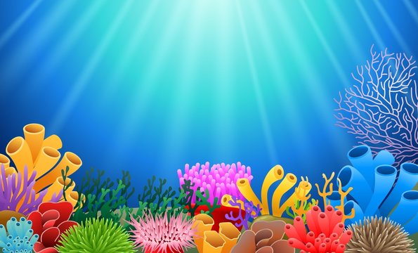 corals with underwater view background. Vector illustration