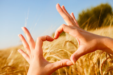 Picture of heart from hands on field