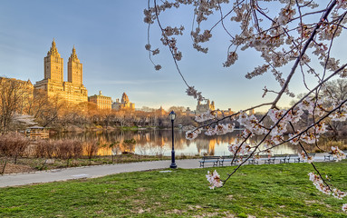 Fototapeta premium Central Park, New York City spring