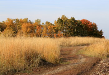 autumn landscape