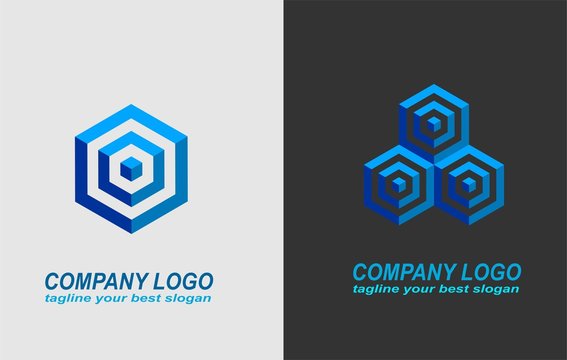 Hexagon Icon Logo Creative Design