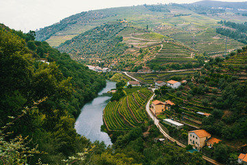 View of river, and the vineyards are on a hills, Douro Valley, Portugal.