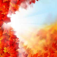 Naklejka na ściany i meble Autumn Background with Fall Maple Leaves, Sunlight and Blue Sky