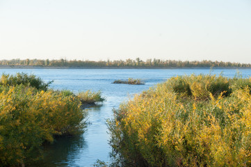 Influx falls in river.