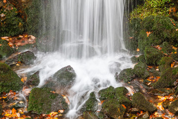 Cascada, musgo y rocas, Río Alba. Ruta del Alba. Parque Natural de Redes, Asturias, España.
