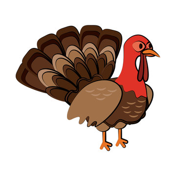 turkey animal icon image vector illustration design 