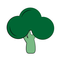 broccoli vegetable icon image vector illustration design 