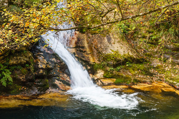 Cascada  y vegetación en el Río Alba. Ruta del Alba. Parque Natural de Redes, Asturias, España.
