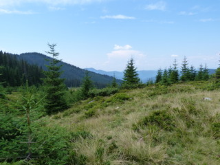 Fototapeta na wymiar road to the top of Marmaros ridge.