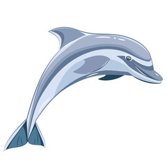 Vector illustration of blue dolphin on a transparent background