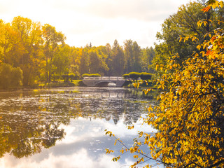 Autumn lake in the Park. Alexanrovsky Park in St. Petersburg. The Town Of Pushkin.
