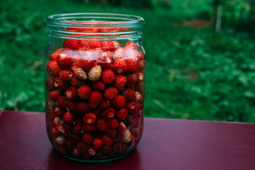 Still summer strawberries