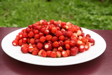 Vegetarian Strawberry Food