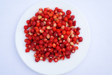 Vegetarian Strawberry Food