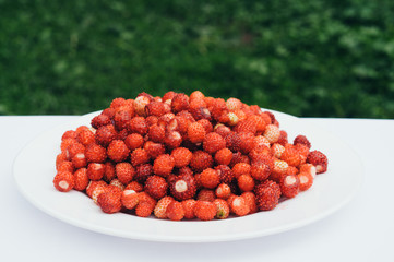 Vegetarian Strawberry Food