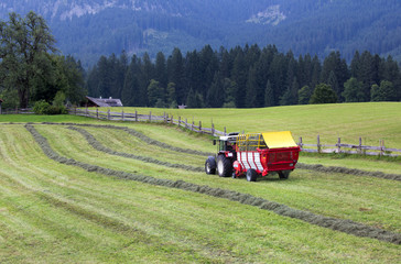 Tractor collecting hay on meadow