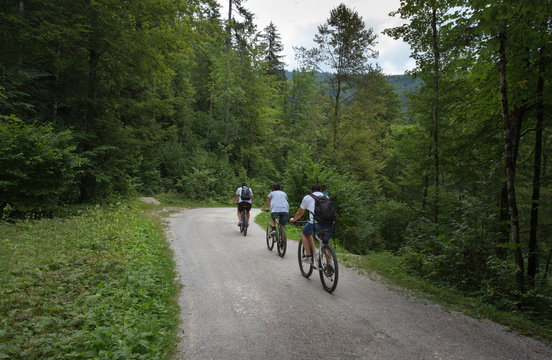 Group of people riding bikes in forest