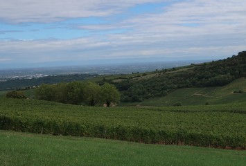 Fototapeta na wymiar Mâcon wine-growing region
