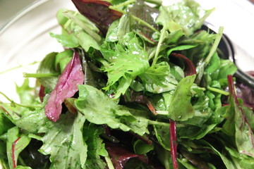 Gemischter Wildkräutersalat mit Essig und Öldressing 