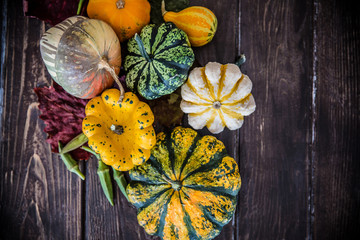 Squash colorful Halloween and Thanksgiving decoration / Pumpkins on rustic wooden table 