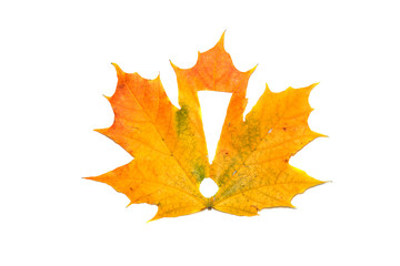 Exclamation mark on a maple leaf.