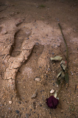 footprint and faded flower. Love pain and separation