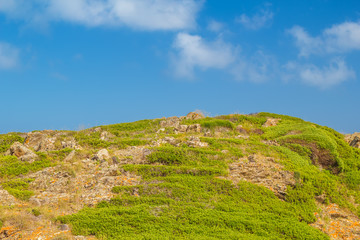 Green stony hill nature background