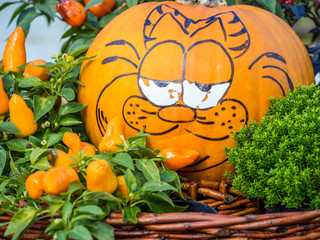 Halloween pumpkin with cat face