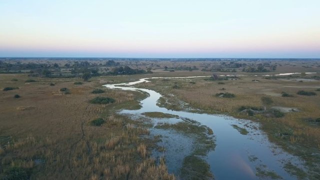 Aerial view of flat shallow river in the Okavango delta at the crack of dawn