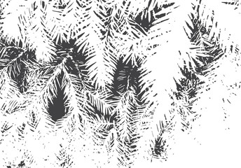 Fir branches texture. Christmas overlay. Nature illustration.Black and white vector background for retro design.