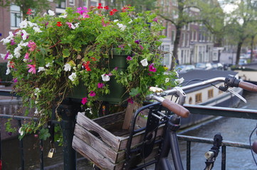 Fototapeta na wymiar Fahrrad und Blumen in Amsterdam