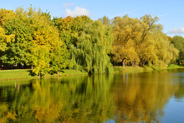 Fototapeta na wymiar Novodevichy Convent park and pond in golden autumn