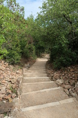 Stairway to rock of Solutré