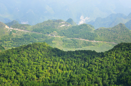 Fototapeta Beautiful vibrant background consisting scenic of trees of the rain forest