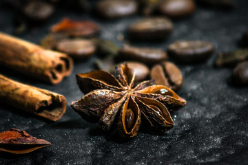 anise stars, cinnamon and coffee beans - a mixture of spices